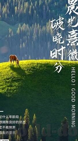 大象传媒app下载官方版-探索大象传媒，官方版APP下载指南