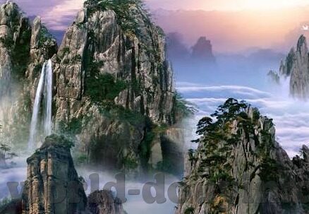 大象传媒免费入口9022-探索大象传媒的独特魅力，9022免费入口的多元体验